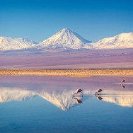 Atacama Desert - Chile