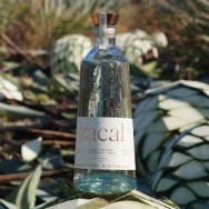 A bottle of Zacal Mezcal with harvested agave plants in the background
